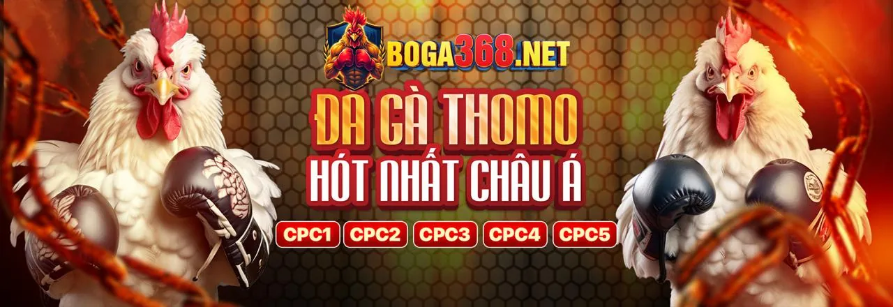 Đá gà trực tuyến sao789 game